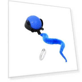 Interactive Toy for Cats, Rolling Ball, Touch Activated Sensor, Smart Ball with 3 Modes, USB Rechargeable, Automatic... — Cat Playthings, ZappyDeals