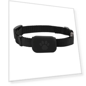Pet GPS Tracker with Adjustable Collar — Trackers, Aura Living