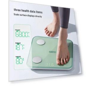 Smart Body Fat and Weight Scale — Weight Management Tools, Bear
