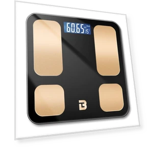 Smart Body Fat Scale — Weight Management Tools, BORO