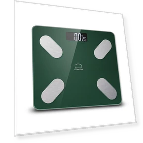 Smart Body Fat Scale — Weight Management Tools, LOCK&LOCK