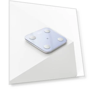 Smart Body Fat Scale — Weight Management Tools, Xiaomi