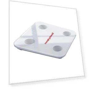 Smart Body Fat Scale — Weight Management Tools, JDST online