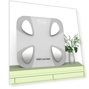 Smart Body Fat Scale — Weight Management Tools, KOOKZZ