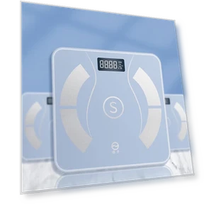 Smart Body Fat Scale — Body Composition Analysis, Yangzi