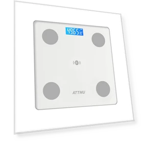 Smart Body Fat Scale — Weight Management Tools, ATTMU