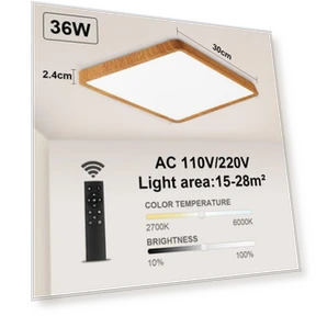 Smart Ceiling Light Fixture — Overhead Lighting, Cosy Homes