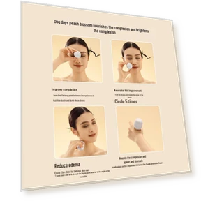 Smart Portable Moxibustion Device — Thermal Comfort Solutions, Breo