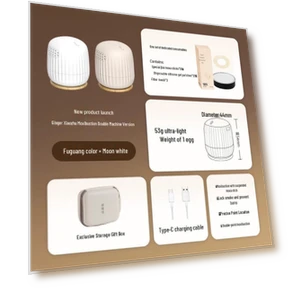 Smart Portable Moxibustion Device — Thermal Comfort Solutions, Breo