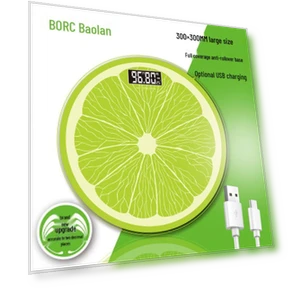 Smart Rechargeable Body Weight Scale — Weight Management Tools, BORO