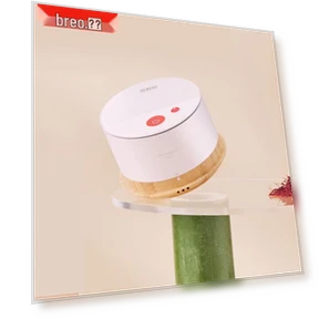 Smart Temperature Controlled Moxibustion Massager — Thermal Comfort Solutions, Breo