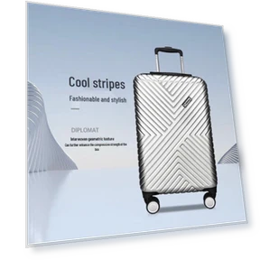 20-inch Pigskin Smart Lock Carry-on Luggage — Suitcases, Diplomat