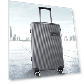 20-Inch Smart Lock Travel Suitcase — Luggage Locks, Diplomat