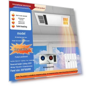 Ceiling Heater and Exhaust Fan 5-in-1 with Light — Ceiling Fan Lighting Solutions, Pickerr