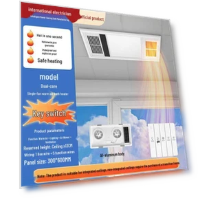 Ceiling Heater and Exhaust Fan 5-in-1 with Light — Ceiling Fan Lighting Solutions, Pickerr