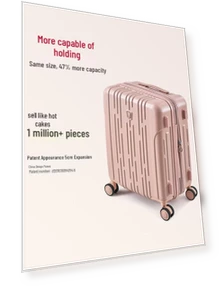 Expandable 20-inch Smart Carry-on Suitcase — Suitcases, OIWAS