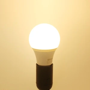 LED Lamp — Smart Light Bulb, T Outdoor Lighting