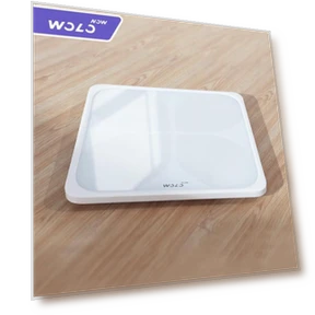 Smart Body Fat Scale Pro with Large Display — Weight Management Tools, WOLONOW