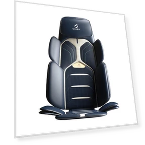 Smart Massage Cushion — Massage Equipment, CLORIS