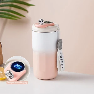 Smart Thermos with LED Temperature Display — Smart Water Bottle, Dongfang HOME
