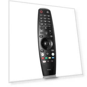 Voice Guide Remote Control — Remote Controls, AN