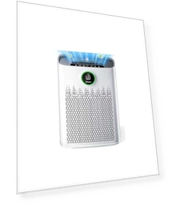 Air Purifier for Large Rooms — Activated Carbon Air Purifiers, ECOSELF