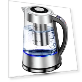 Electric Kettle with Temperature Control — Kettles & Tea Machines, QSLKING