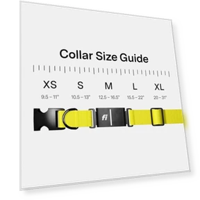 Smart Dog Tracker Collar — Trackers, Fi