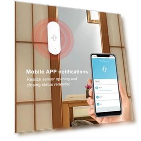 WiFi Vibration Sensor for Doors and Windows — Smart Home Security, Gaoducash