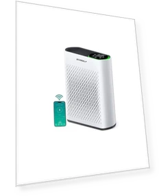 Air Purifier — Electrostatic Air Purifiers, ECOSELF