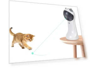 Automatic Motion-Activated Cat Toy with Green Light — Cat Playthings, TBTeek