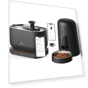 Cat Water Fountain and Automatic Cat Feeder Bundle — Automatic Feeders, PETLIBRO