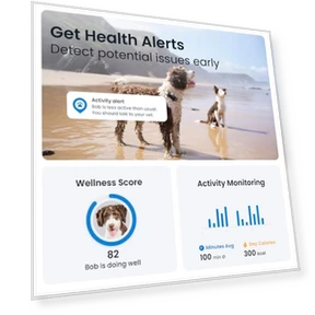 GPS Dog Tracker — Trackers, Tractive