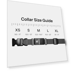 Smart Dog Tracker Collar — Trackers, Fi