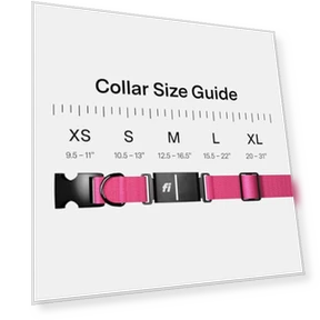 Smart Dog Tracker Collar — Trackers, Fi