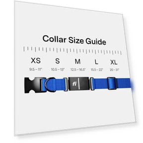 Smart Dog Tracker Collar — Trackers, Fi