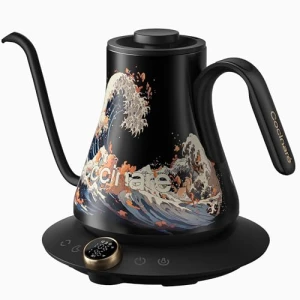 Electric Gooseneck Kettle — Electric Kettle, Cocinare