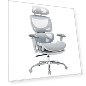 Ergonomic Mesh Office Chair with Footrest — Desk Chairs, COLAMY