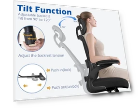 Ergonomic Office Chair with Adjustable Headrest and Lumbar Support — Desk Chairs, TRALT