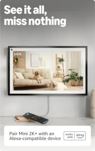 Home & Pet Security Camera — Security Camera, Blink