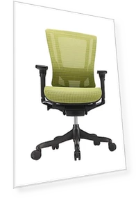 Smart Motion Mesh Office Chair — Desk Chairs, Raynor