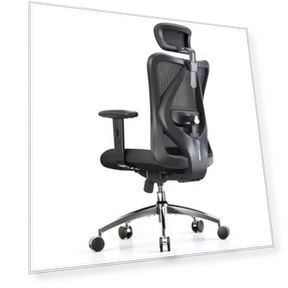 Ergonomic Office Chair — Desk Chairs, SIHOO