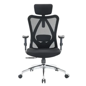 Ergonomic Office Chair — Smart Chairs, SIHOO