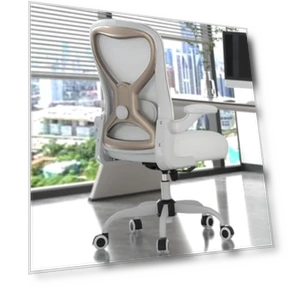 Office Desk Chair with Ergonomic Lumbar Support — Desk Chairs, CASASIO