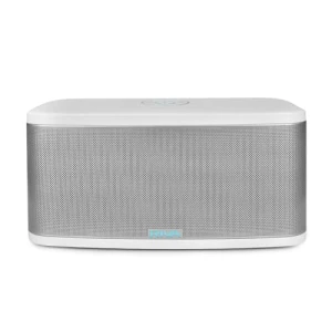 Upgraded Stadium Wi-Fi Bluetooth Smart Hi-Fi Speaker with Alexa Built-in — Smart Speaker, RIVA