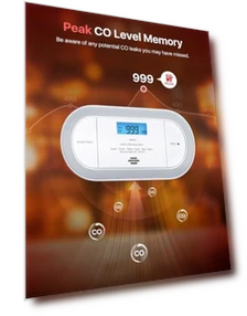 Wi-Fi Plug-in Carbon Monoxide Detector with AAA Battery Backup — Carbon Monoxide Detectors, X-Sense