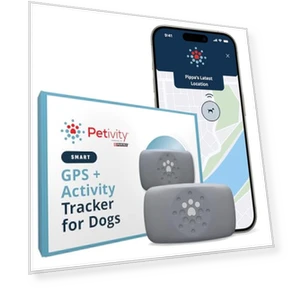 Smart GPS and Activity Pet Tracker for Dogs — Trackers, Petivity