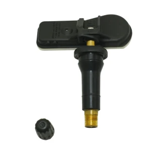 Electric Tire Pressure Sensor — TPMS, Tesla