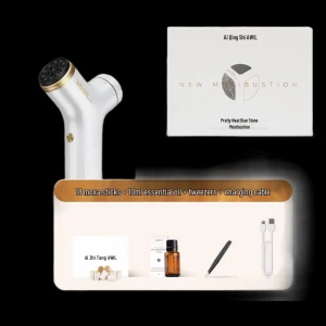 Smart Bianstone Moxibustion and Gua Sha Device — Massage Gun, Aixiu Tang