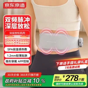 Smart Portable EMS Waist Massager with Heat — Massage Gun, J.Jingdong